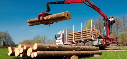 Бесплатная доставка дров